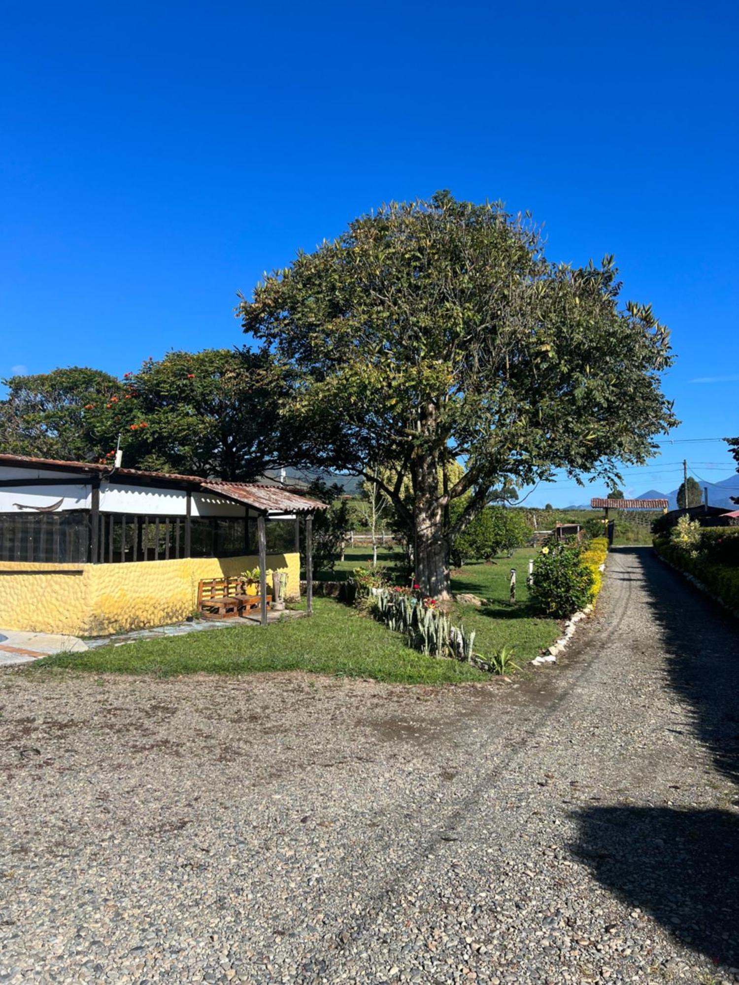 Finca Hotel Paraiso Urrao المظهر الخارجي الصورة