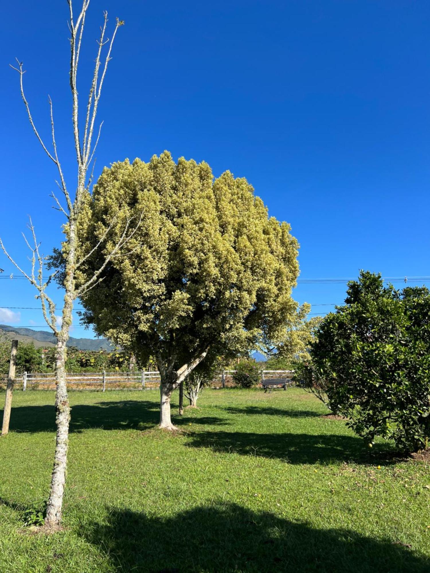 Finca Hotel Paraiso Urrao المظهر الخارجي الصورة
