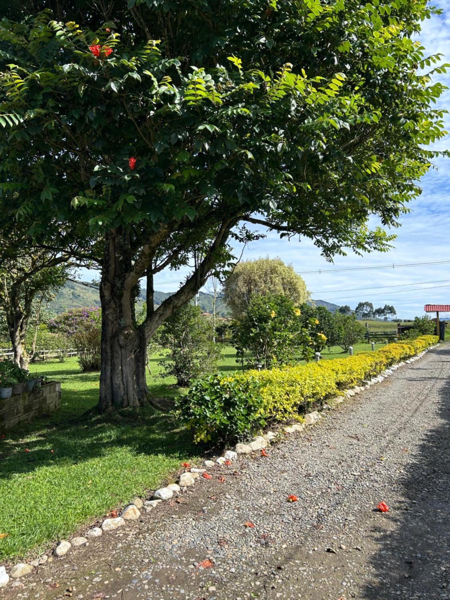 Finca Hotel Paraiso Urrao المظهر الخارجي الصورة