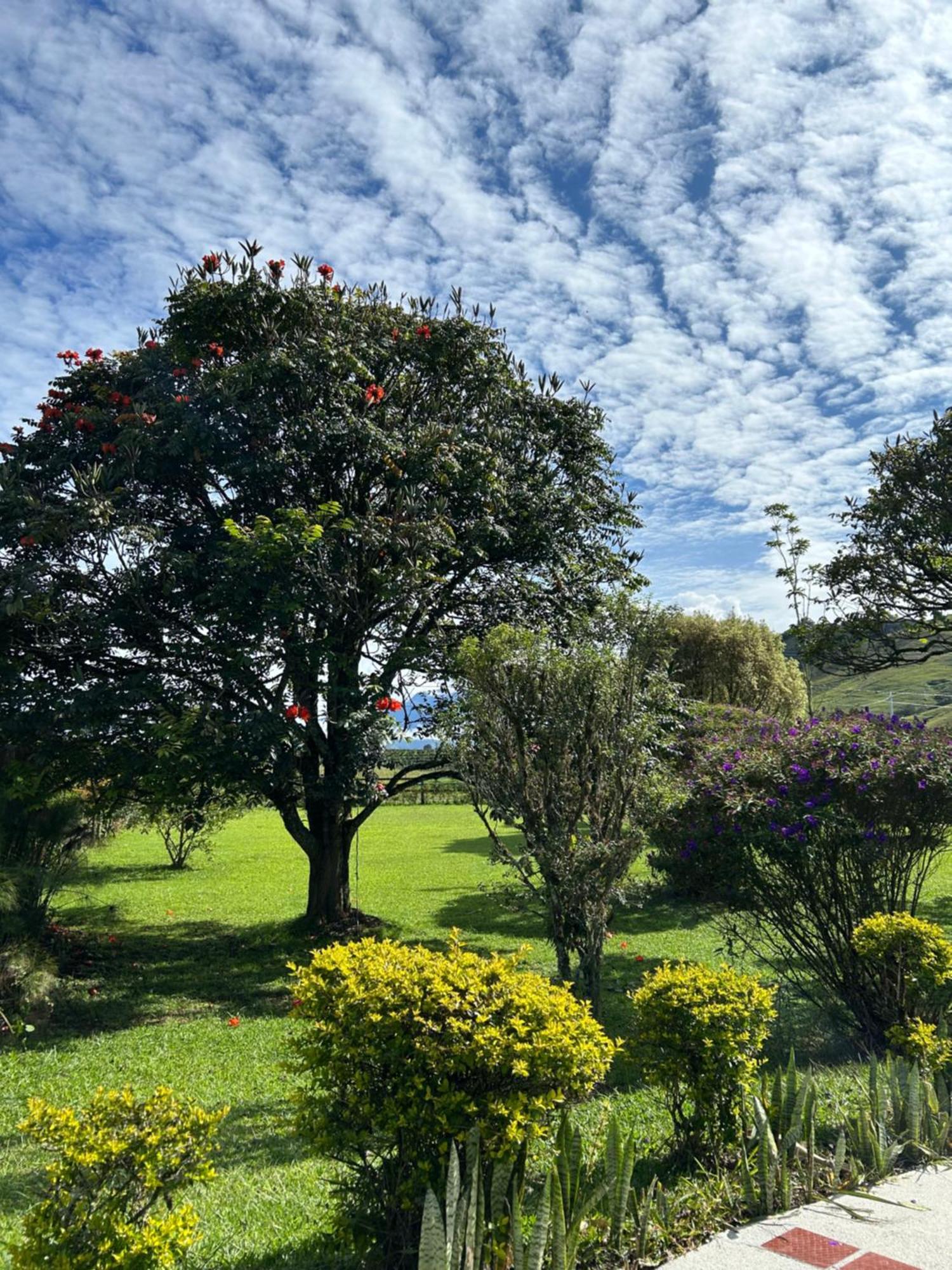 Finca Hotel Paraiso Urrao المظهر الخارجي الصورة